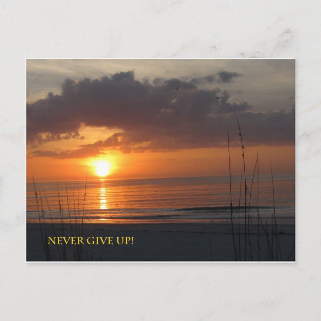 Aldrig Ge Up Orange Sunset Beach Vykort (Framsida)