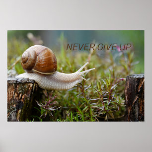ALDRIG GE UP - utgåva snigel Poster