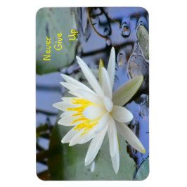 Aldrig Ge Up Vatten Lily Magnet