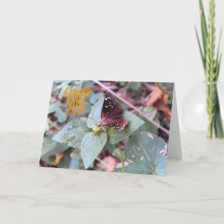 Aldrig Ge upp ett tomt flygcertifikat för fjäril Kort