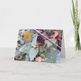 Aldrig Ge upp ett tomt flygcertifikat för fjäril Kort