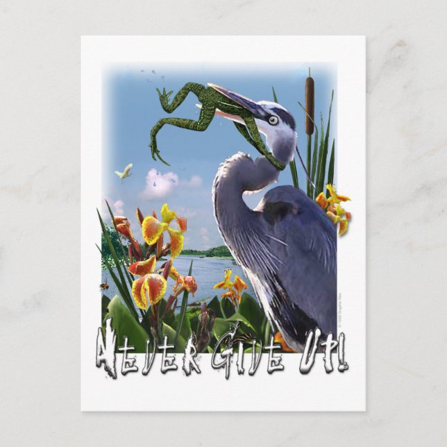 Aldrig Ge uppe! Vykort (Framsida)