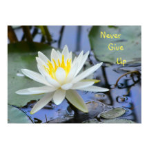 Aldrig Ge uppströms vattenfritt