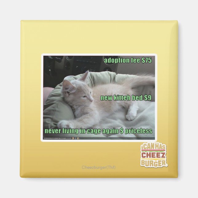 Aldrig i bur igen magnet (Framsidan)