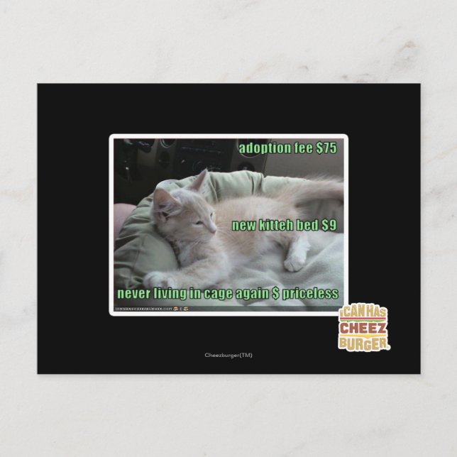 Aldrig i bur igen vykort (Framsida)