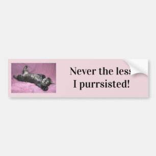 Aldrig mindre har jag stött Bumper Sticker Bildekal