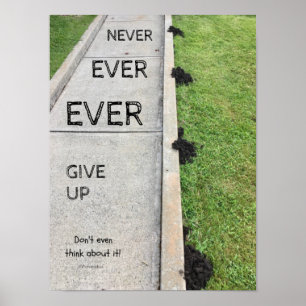 Aldrig någonsin Ge upp. Poster