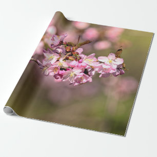 Aldrig upphöra med Blommarna av Sakura Cherry Presentpapper