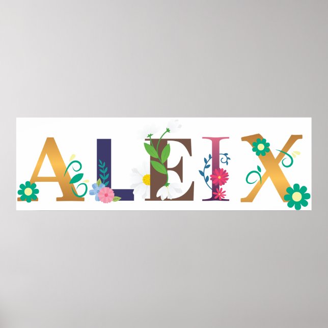 ALEIX First Namn Elegant Embroized Poster (Framsidan)