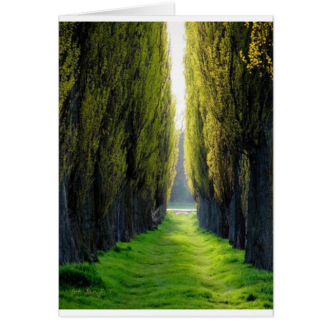 ALEJAWroclaw Polen Hälsningskort (Framsidan)