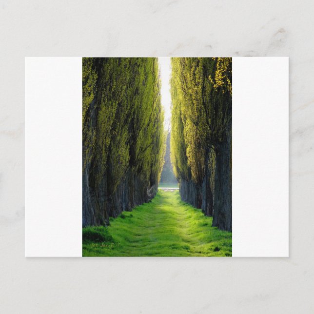 ALEJAWroclaw Polen Vykort (Framsida)