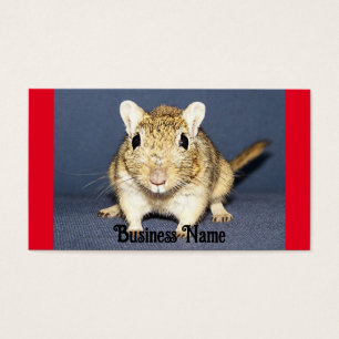Alert Gerbil Affärskort Visitkort