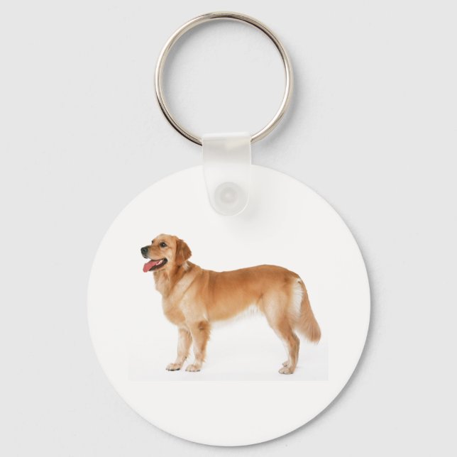 Alert Golden Retriever Keychain Nyckelring (Framsida)