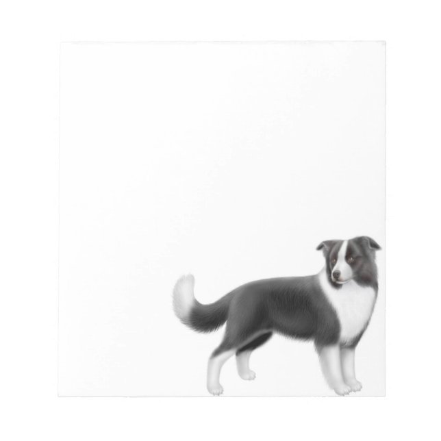 Alert Gräns Collie Hund Anteckningsblock (Framsida)