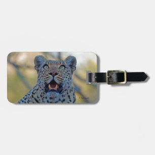 Alert Leopard Bagagebricka