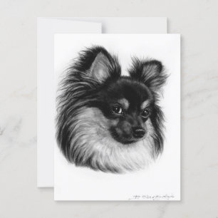 Alert Long Hved Chihuahua Hand plockade Art Vykort