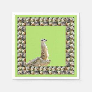Alert Meerkat Framed by Meerkats. Pappersservett