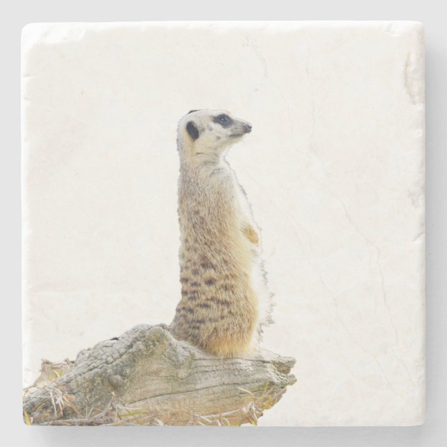 Alert Meerkat på Guard Duty Stenunderlägg (Framsidan)