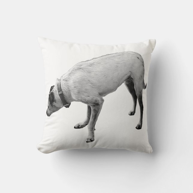 Alert Spirit of Fall Kudde (Framsida)