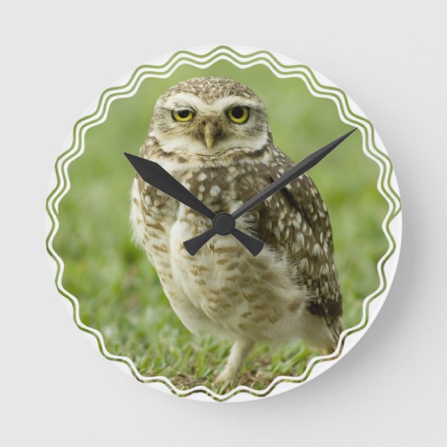 Alert Uggla Clock Rund Klocka (Framsida)