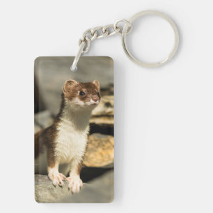 Alert Weasel