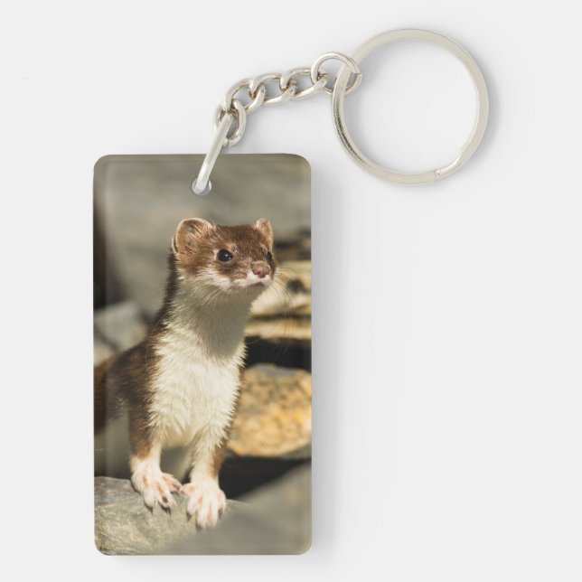 Alert Weasel (Baksidan)
