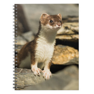 Alert Weasel Anteckningsbok
