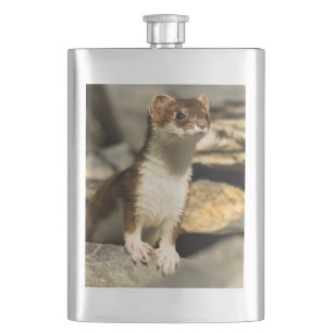 Alert Weasel Fickplunta