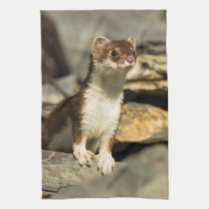 Alert Weasel Kökshandduk