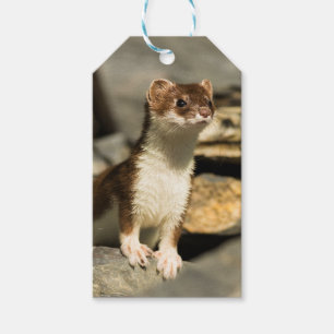 Alert Weasel Presentetikett