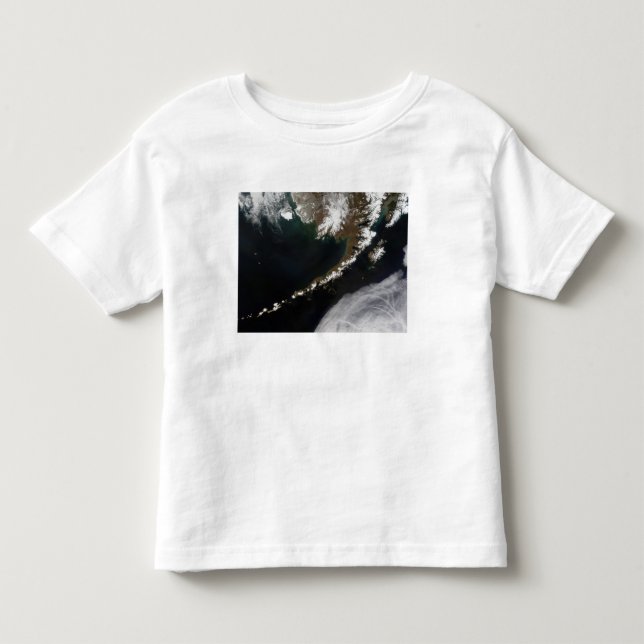 Aleutiska öarna och Alaska-peninsulan Tee (Framsida)