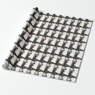 Alex Foundation Wrapping Papper Presentpapper