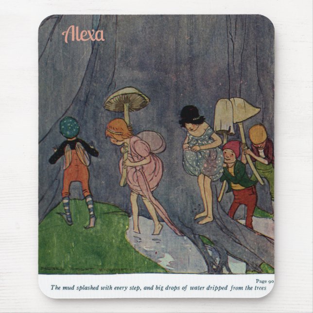 ALEXA ~ Clara Judson ~ Flower Älvor ~ Musmatta (Framsidan)