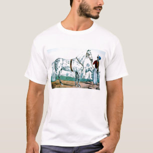 Alexander the Häst, USA 1840 Tee