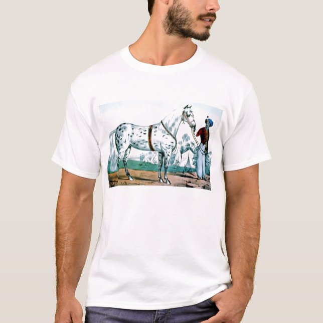 Alexander the Häst, USA 1840 Tee (Framsida)