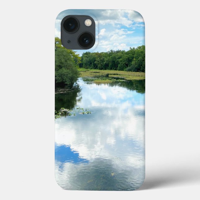 Alexander Vår Bäck iphone case (Baksida)