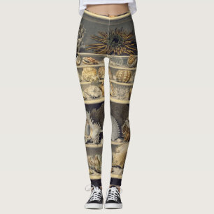 Alexandre Isidore Leroy De Barde - Urval Leggings