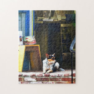 Alexandria VA - Corgi Relaxing framtill Kung St Pussel