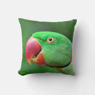 Alexandrine Parakeet Kudde