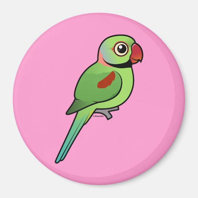 Alexandrine Parakeet Magnet (Framsidan)