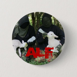 ALF KNAPP