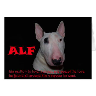 ALF som godkänner kärlek Hälsningskort