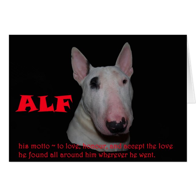 ALF som godkänner kärlek Hälsningskort (Framsidan Horizontal)