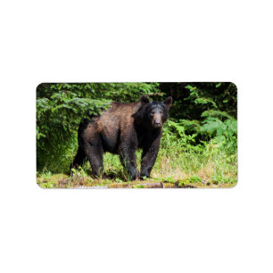 Alfa Black Bear Adressetikett