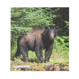 Alfa Black Bear Anteckningsblock