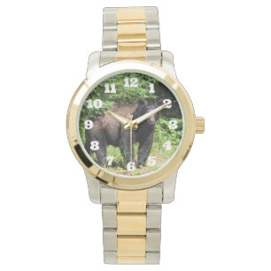 Alfa Black Bear Armbandsur