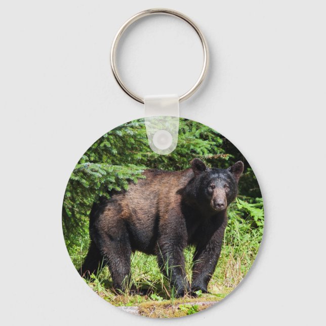 Alfa Black Bear Nyckelring (Framsida)