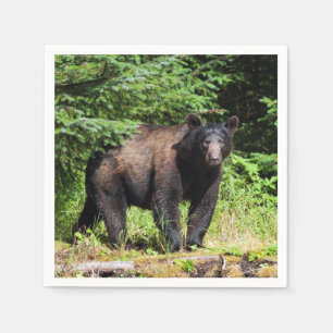 Alfa Black Bear Pappersservett