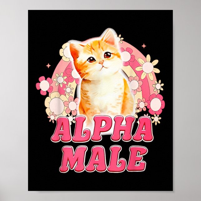 Alfa han katt kattunge rolig för män kvinnor  poster (Framsidan)