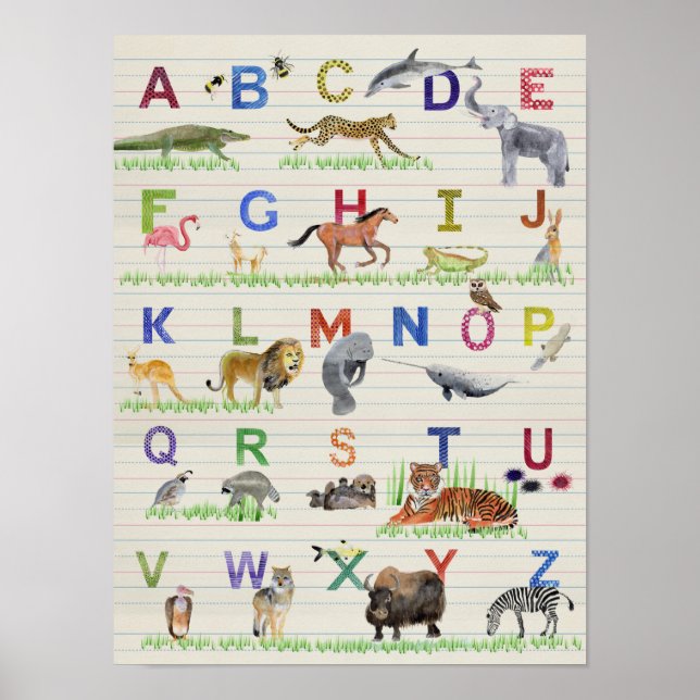 Alfabet Animals Poster (Framsidan)